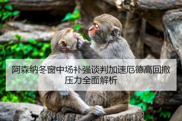 阿森纳冬窗中场补强谈判加速厄德高回撤压力全面解析